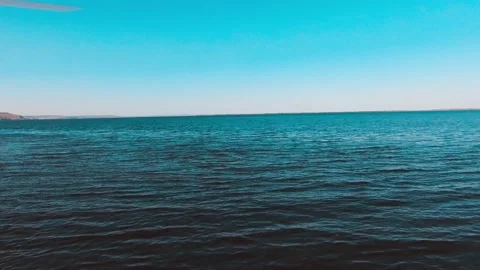 A Seagull takes off from the water surface Stock Footage 131108652