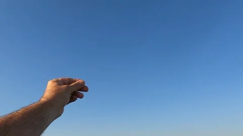 Seagull taking cookie from man's hand Stock Footage 305492371