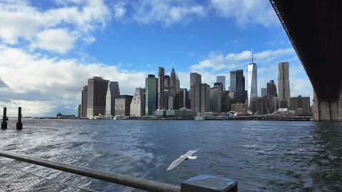 Seagull Taking Flight Under Brooklyn Bridge With Manhattan Skyline in Slow Motio Stock Footage 326051813
