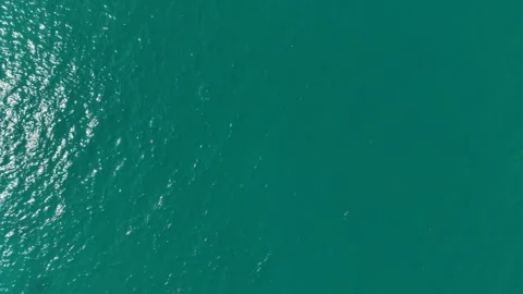 Seagull Taking Off from the Sea Surface in South Korea 4K Drone Footage Stock Footage 340943239