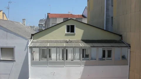 Seagull with three chikcs on a rooftop Stock Footage 313164758