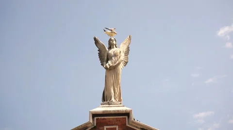Seagull on the top of angel statue Stock Footage 46429078