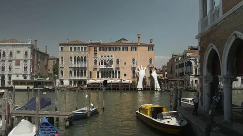 Seagull in Venice, Italy Stock Footage 84060357