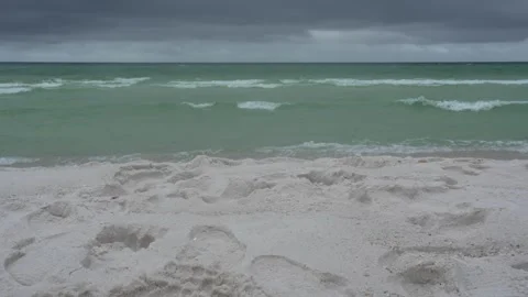 Seagull walking on a windy beach with large ocean waves and footprints Stock Footage 345689580