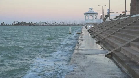 Seagull on the waterfront at sunset Stock Footage 191742427