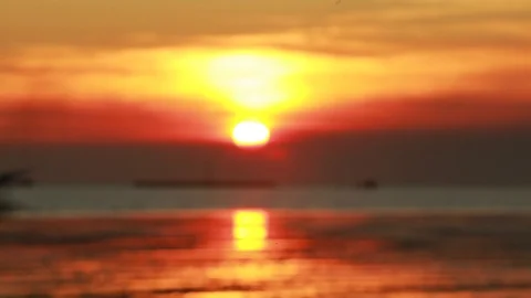 Seagull23 Video stock 126746332