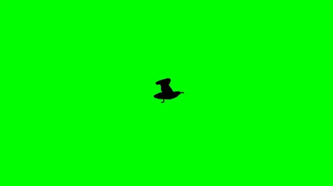 SeagullFlyLoopCartoonGREENSCREEN Stock-Footage 26306875