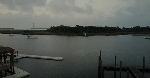 Seagulllanding Stock Footage 82130946