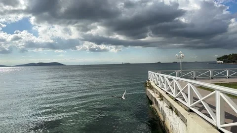 Seagulls accompanied by the view of Istanbul Stock Footage 293905689