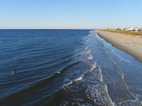 Seagulls along the beach Stock Footage 73593951
