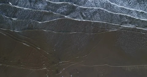 Seagulls and beach Stock Footage 99053619