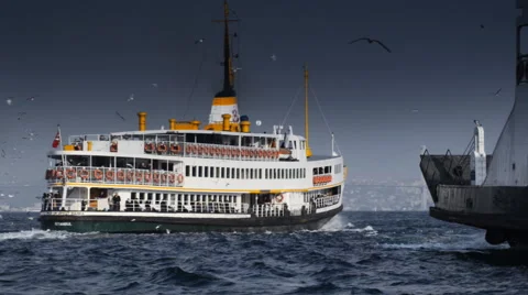 Seagulls and beautiful ship Stockbeeldmateriaal 63044207