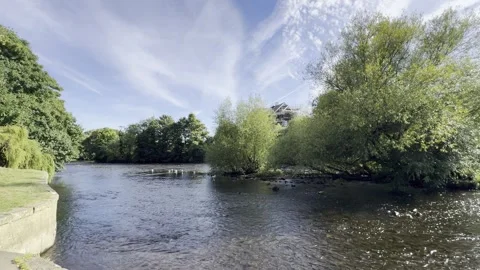 Seagulls and ducks Stock Footage 284233612