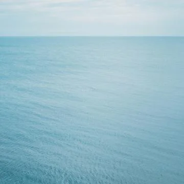 Seagulls and ocean Stock Photos
