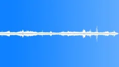 Seagulls and river ambiance recorded from yachtSound Effect