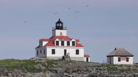Seagulls appear to float above Egg Rock lighthouse in slow motion. Stock Footage 148041992