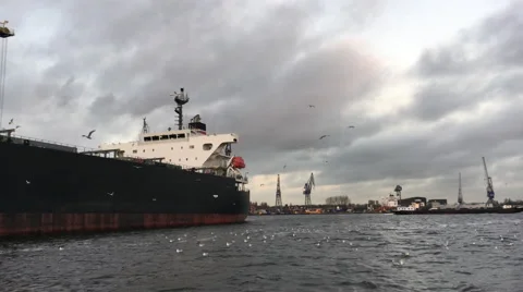 Seagulls are flying around a bulk carrier. Stock Footage 58065153