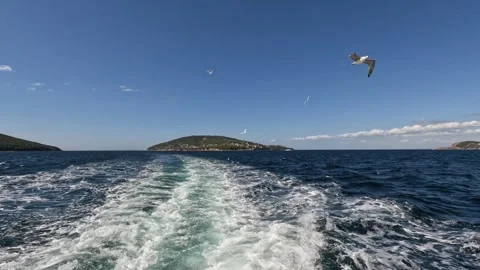 Seagulls are flying behind the ferry moving away from the island. Stern view Stock Footage 297616253