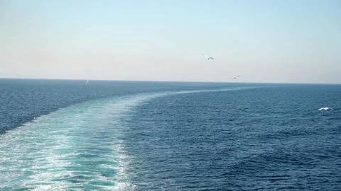 The seagulls are following the ship Video stock 265778978