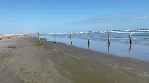 Seagulls on Beach 01 Video stock 148657176