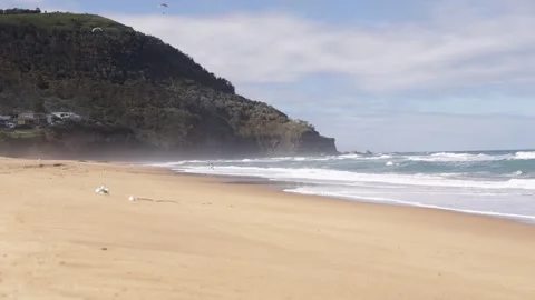 Seagulls on Beach with Ocean Waves – Drone 4K, Australia Stock Footage 317680749