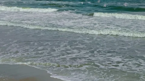 Seagulls on Black Sea Waves 4 Video stock 332076295