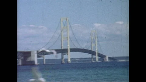 Seagulls &amp; Bridge Stock Footage 135188873