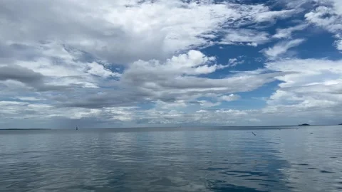 Seagulls catch fish and circle and fly over the surface of the sea Video stock 309100582