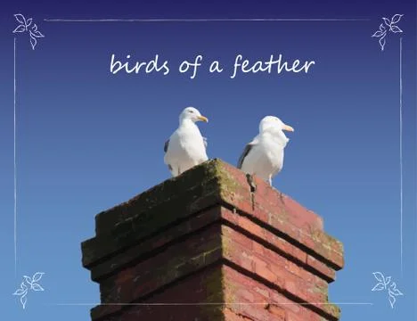 Seagulls on Chimney Stock Illustration