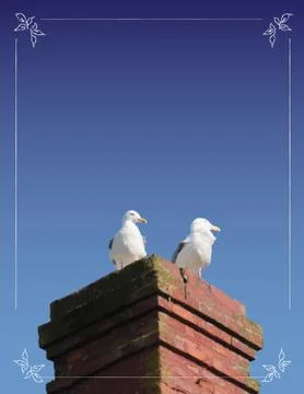 Seagulls on Chimney Stock Illustration