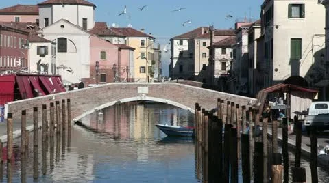 Seagulls in Chioggia Video stock 22111580