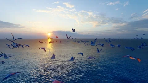 Seagulls circled in the sunset Stock Footage 193986834