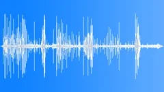 Seagulls Coastal Birds Ambience StereoSound Effect
