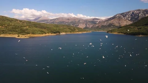 Seagulls on a dam lake Video stock 240090155