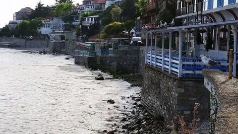 Seagulls on empty cafe Video stock 72472131