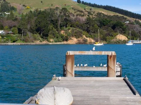 Seagulls At The End Of A Jetty Stock Photos