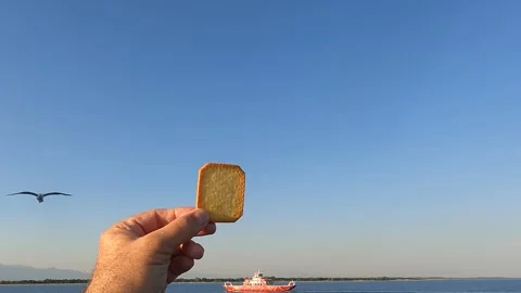 Seagulls feeding from hand on a ferry Stock Footage 305493517