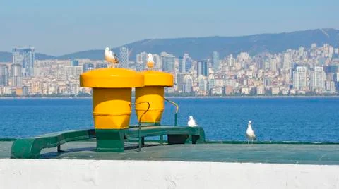 Seagulls on Ferry Stock Photos