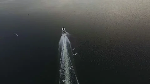 Seagulls flies behind a high-speed boat on the sea Stock Footage 222774181
