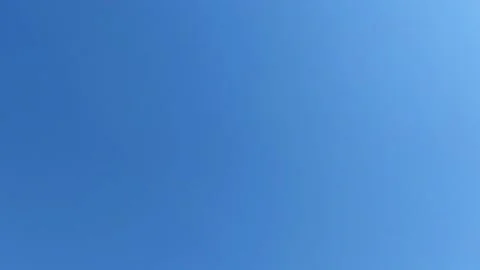 Seagulls in Flight Video stock 317567804