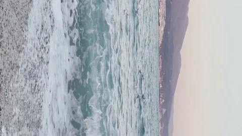 Seagulls floating in sea 4k vertical Stock Footage 145409433