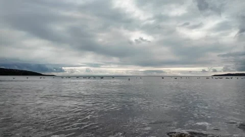 Seagulls Floating on Wavy Gray Sea Under a Dramatic Cloudscape Vídeo Stock 323717348