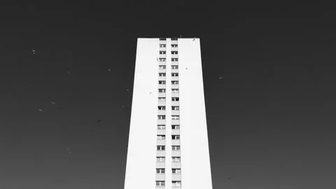 Seagulls flocking around the top of an apartment block Video stock 171831586