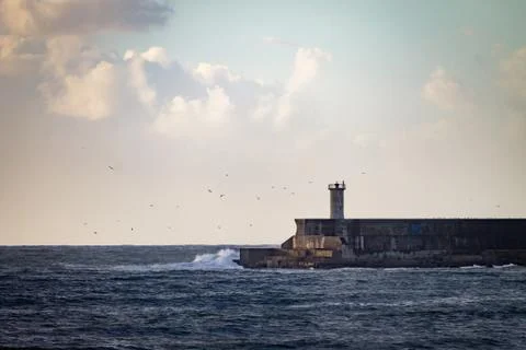 Seagulls Fly around Lighthouse Stock Photos