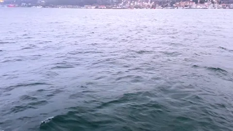 Seagulls fly in the Bosphorus. A flock of hungry seagulls flies in search of Stock Footage 218464285