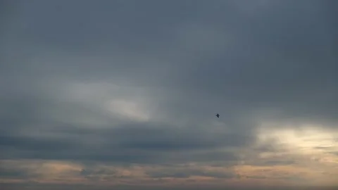 Seagulls fly high in the overcast sky. Video stock 196854277
