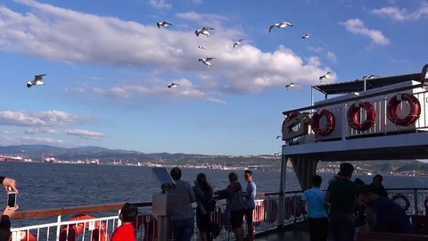 Seagulls fly next to the ferry Video stock 80396173