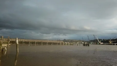 Seagulls Fly over River Near Pier Stock Footage 108876583