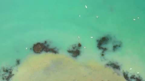 Seagulls fly over sandy cape of tropical island - top view Stock Footage 157315551