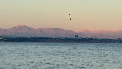 Seagulls fly over the sea Stock Footage 304073864